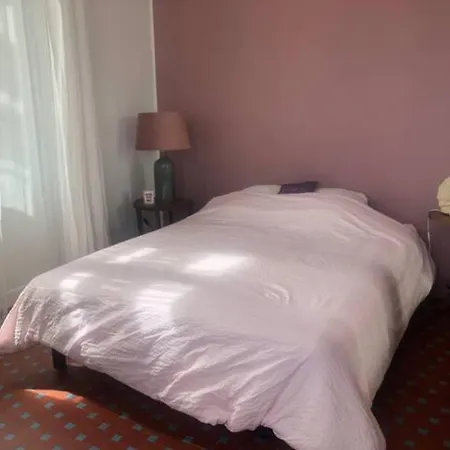 Apartment Bourgeois Au Calme Et A 2 Pas Du Centre Cannes